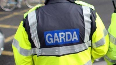 Gardaí appeal for information after alleged racial abuse on Irish train