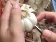 A viral video on how to peel garlic in SECONDS has our minds blown