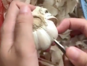 A viral video on how to peel garlic in SECONDS has our minds blown