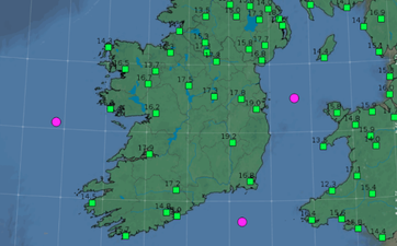 Met Éireann warns hay fever sufferers that pollen count will be ‘very high’ today