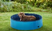 Lidl is releasing a doggy paddling pool so your doggo can stay cool in the sun