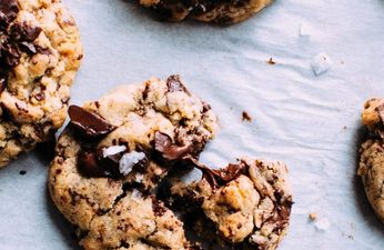 This company wants you to eat a pile of chocolate cookies and get paid for it