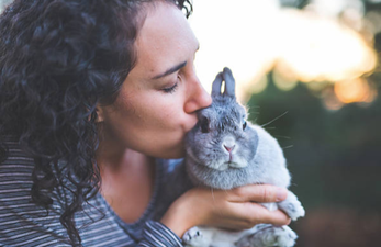 The majority of people would choose their pet over their fella and yeah same