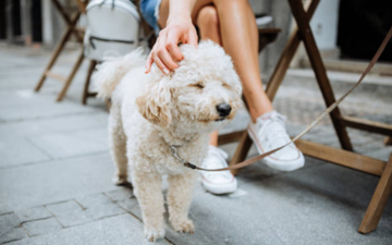 Dogfishing is the latest dating trend to be wary of and yeah, you’ve probably experienced it before