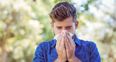 High risk of large amounts of asthma-triggering pollen in Ireland this weekend