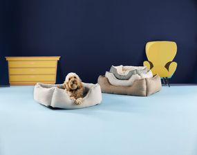 Aldi is doing a massive pet event later this month with some serious deals to spoil your fluffy friend