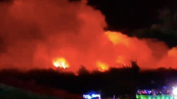 fresh island festival