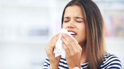 The pollen count is expected to be pretty high today and no, please NO