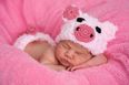 Chinese astrology says Year of the Pig is a great year to have a baby and here’s why