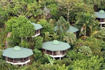 This unreal treehouse resort in Costa Rica has been voted the best hotel of 2019