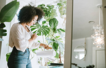 There’s a hotel for house plants to keep them ‘safe’ while you’re on holiday