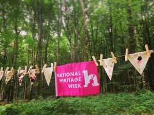 National Heritage Week is coming up and there are loads of free events happening