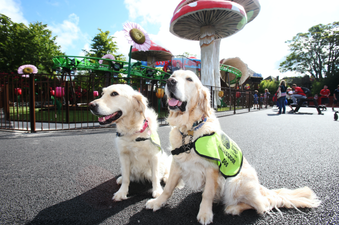 Tayto Park invites visitors to try sensory tunnel for Irish Guide Dogs event