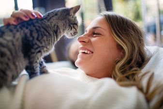 This new cat allergy vaccine promises to help sufferers – but there’s a catch