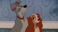 Disney has cast a rescue dog as the main lead in Lady And The Tramp remake