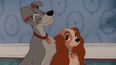 Disney has cast a rescue dog as the main lead in Lady And The Tramp remake
