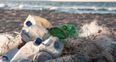 Just 1 in 6 Irish beaches and rivers meet minimum European standard of cleanliness