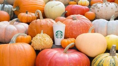 Starbucks are introducing a new pumpkin themed drink this year and it sounds delicious