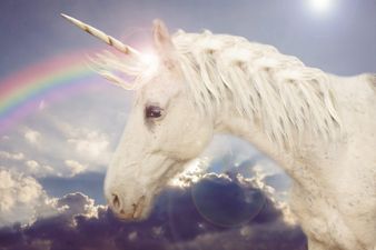 There’s a 7ft unicorn coming to Dublin and we’ll have no shame about being the first in line for photos