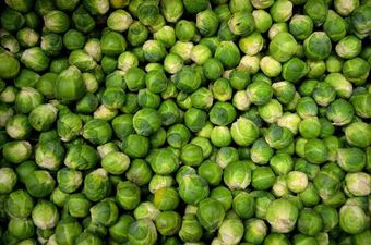 Brussels sprouts gin is here to ruin our festive drinks