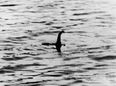 Scientists think they’ve figure out what the Loch Ness Monster is