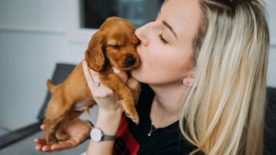 There’s a new show on Channel 4 that’s been coined The Undateables for dogs