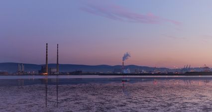 All of my friends are emigrating