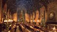 Harry Potter fans can have Christmas dinner at Hogwarts this year and it sounds magical