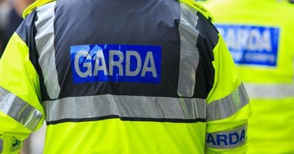 An elderly woman has died following a house fire in Dublin last night.