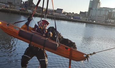 Woman rescued from river in Cork after jumping in to save pet dog