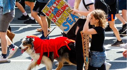 Thousands of Irish students are striking for climate action today