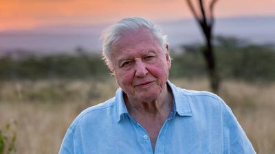 There’s a new David Attenborough documentary coming and it sounds incredible