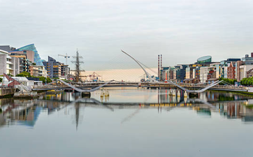 Whale spotted swimming in River Liffey found dead at Dublin Bay