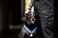 Dog receives ‘animal OBE’ for stopping potential attack on Barack Obama