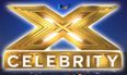 Here are all the celebrity contestants taking part in The X Factor this year