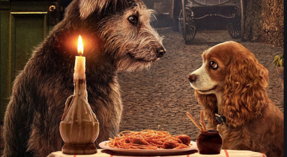 The new trailer for Lady and the Tramp is heaven for dog lovers