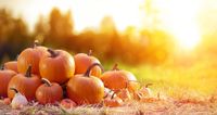 The Wicklow Street Clinic has launched Pumpkin Latte facials and it sounds perfect for autumn