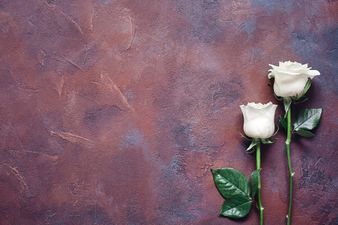 The Final Curtain: How to ask for help when you’re dealing with death – and how to be the friend who gives it