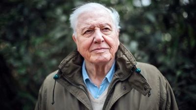 David Attenborough explains why his crew ‘can’t interfere’ when animals are in danger
