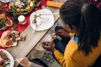 We’re giving our dogs a LOT of calories by feeding them at the dinner table