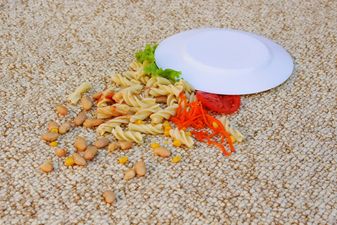 Fact-check: Does the 5 second rule actually work?