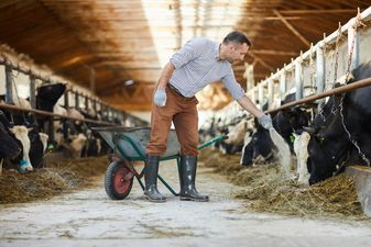 Farmers have the most sex of any profession, finds new survey