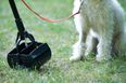 Not a single dog poo fine has been issued in Dublin in 2019
