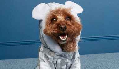 You need to see Penneys’ adorable new dog jammies that are only €8