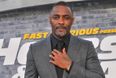 A newly discovered wasp has been named after Idris Elba