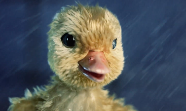 ‘The Doorman and the Duck’ has to be the best Christmas ad of 2019