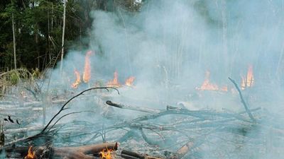 Did the president of Brazil just accuse Leonardo DiCaprio of starting the Amazon fires?