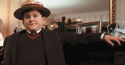 Have you seen what Harry Potter’s Dudley Dursley looks like now?