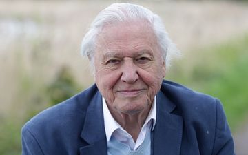 Netflix will be releasing a brand new David Attenborough documentary film