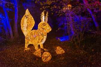 Due to popular demand Wonderlights will return for a second run